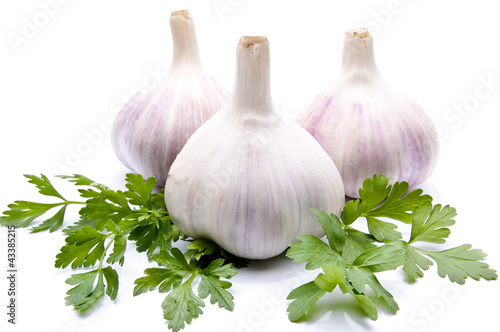 parsley and garlic on an isolated background