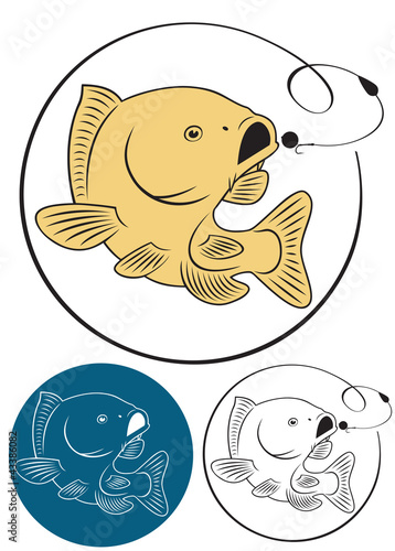 carp