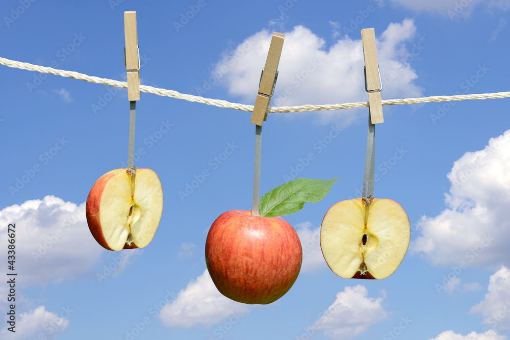 Obst Obst