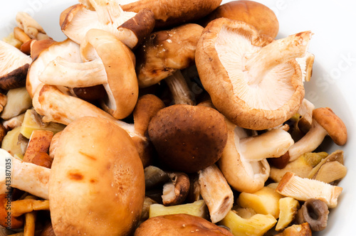 Mushrooms mixed