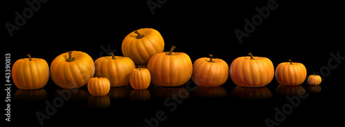 L  nea de calabazas   row of pumpkins