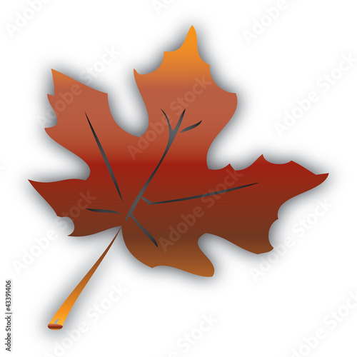 Tableau sur toile Abstract autumn leaf