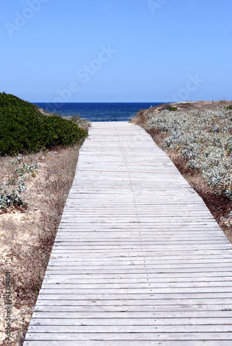 Pathway to the sea