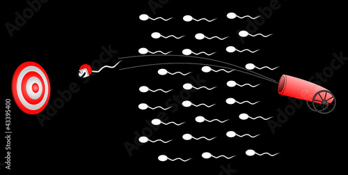 Winner sperm
