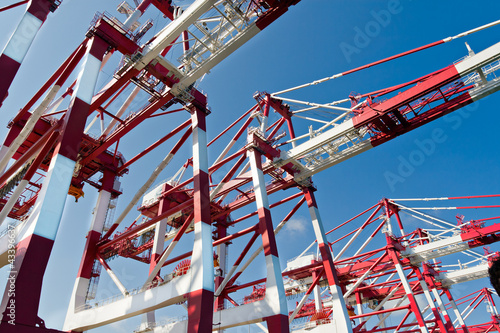 Cargo Cranes in Industrial Port photo