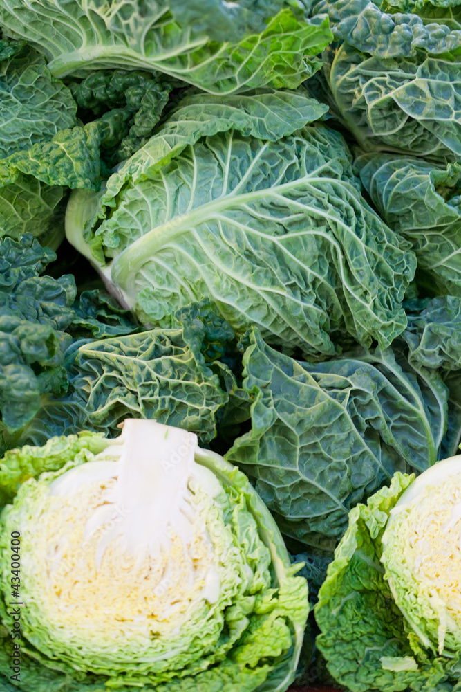 Fototapeta premium Background from more freshly belokachanny cabbage