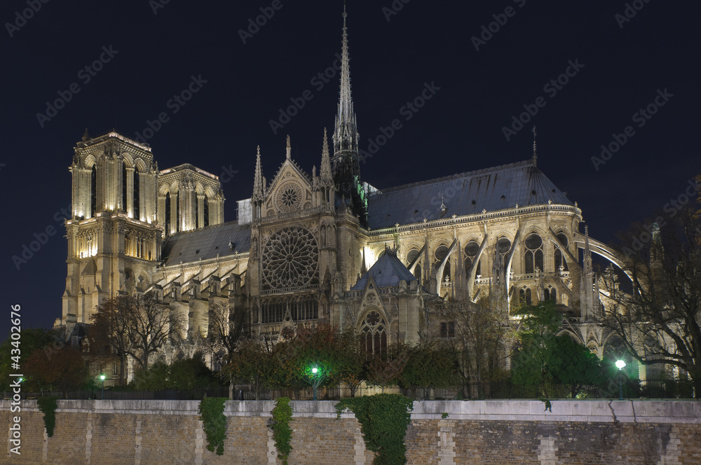 Fototapeta premium Notre dame of Paris at night