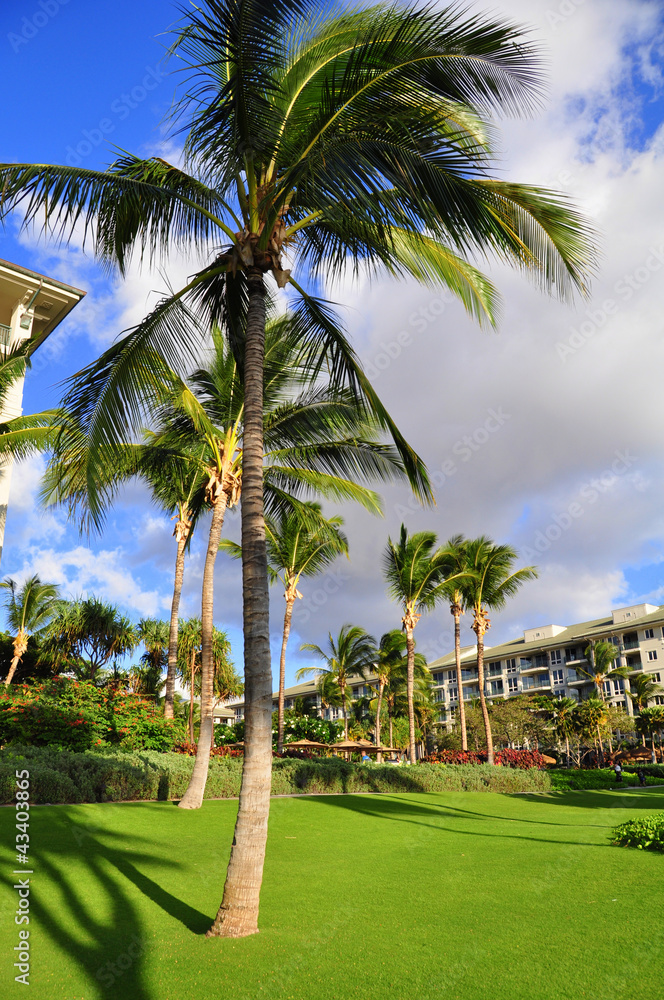 View of a luxury hotel, Kaanapali, Maui, Hawaii View of a luxury hotel, Kaanapali, Maui, Hawaii