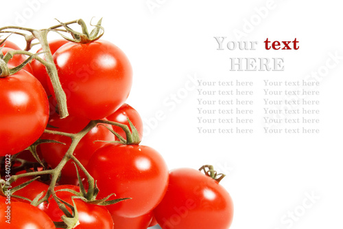 Close-up photo of tomatoes. Place for your text