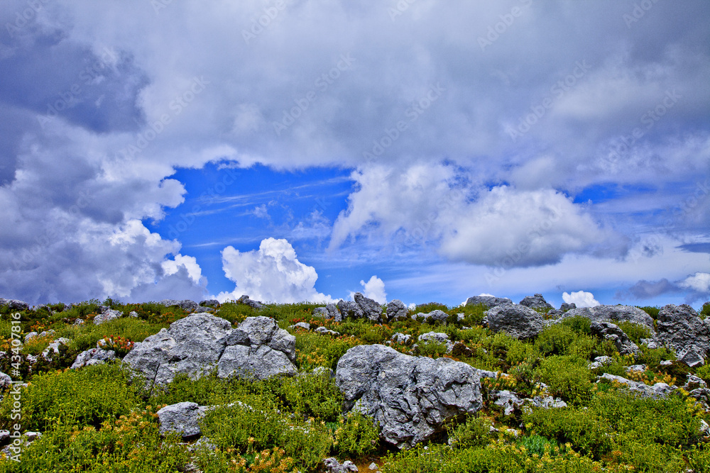 grèce; ioniennes, kefalonia : mont Enos, fleurs, rochers et nua