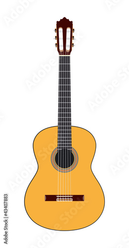 Acoustic guitar. Vector illustration.