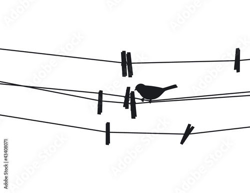 Bird sits on a rope next to the clothespins. Vector illustration