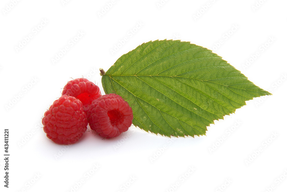 Framboises Framboises