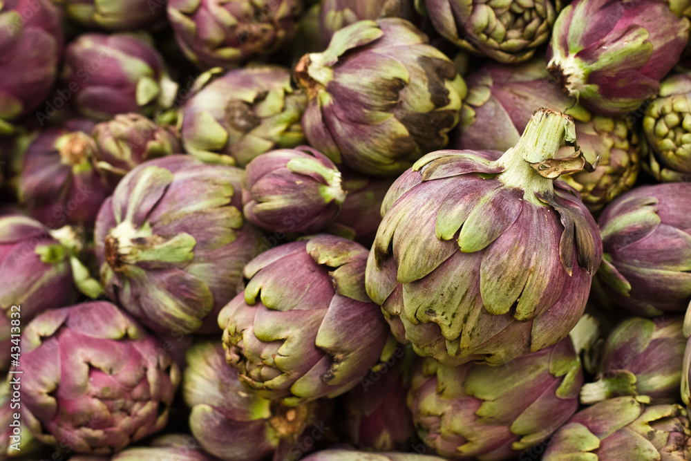 Artichokes for Sale Artichokes for Sale