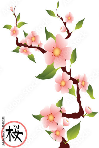 sakura branches with the hieroglyph  sakura 