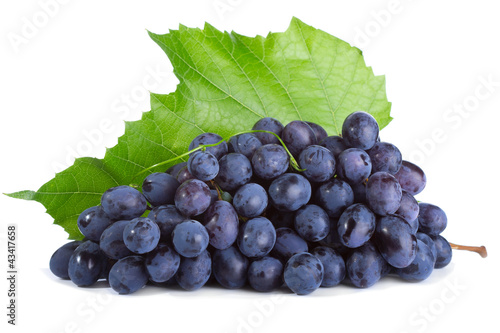 blue grape with leaf