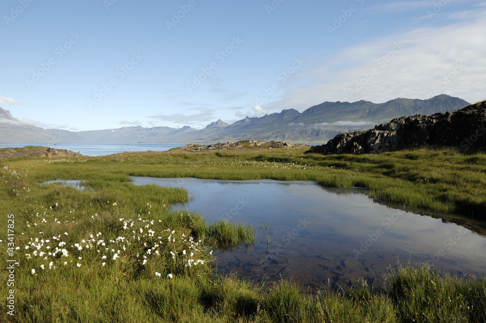 Summer landscape in Iceland. Summer landscape in Iceland.