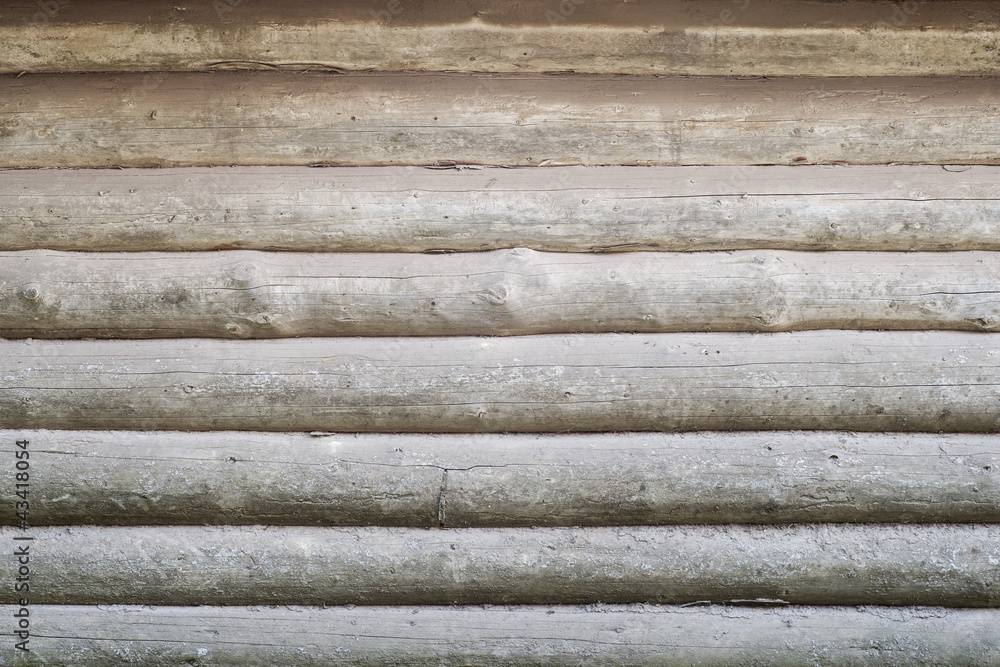 Fototapeta premium round log wall background