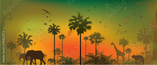 Jungle animals