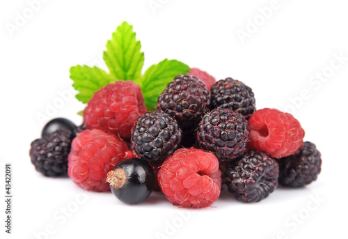 Mix of fresh berry