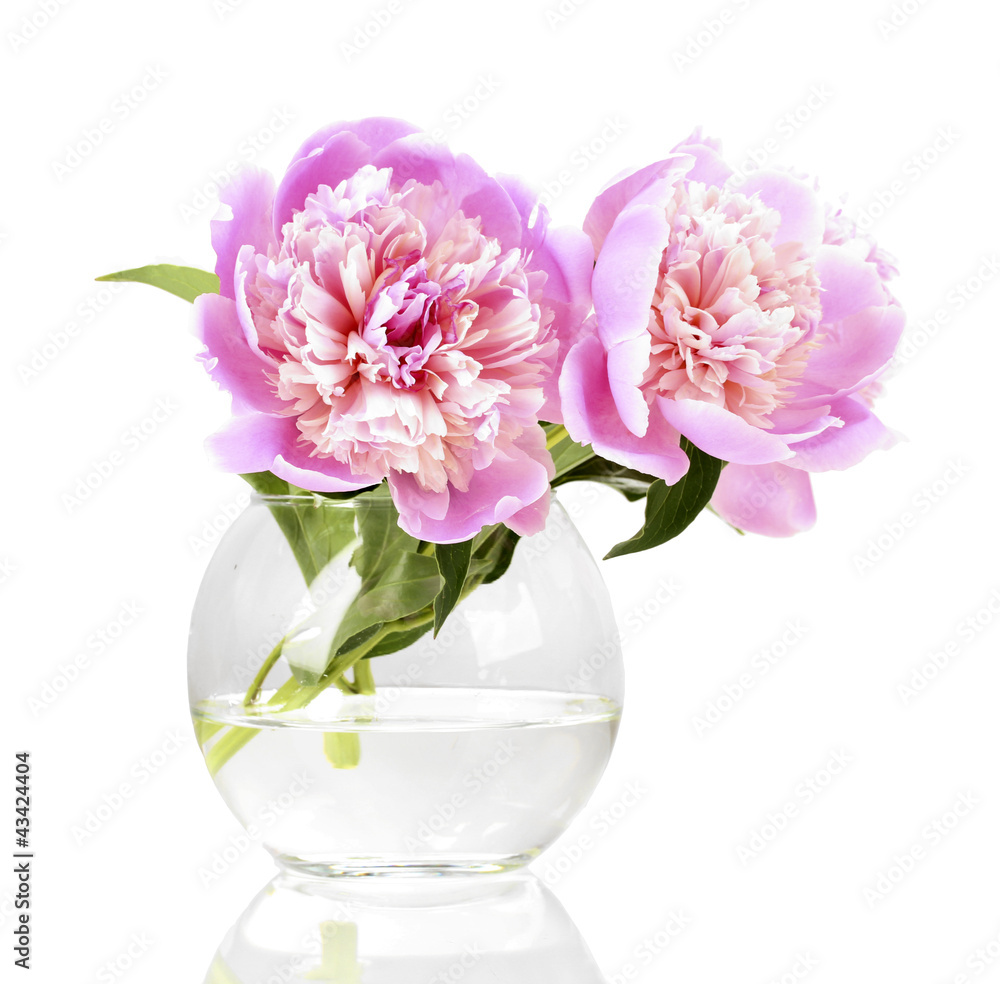 Three pink peonies in vase isolated on white Three pink peonies in vase isolated on white