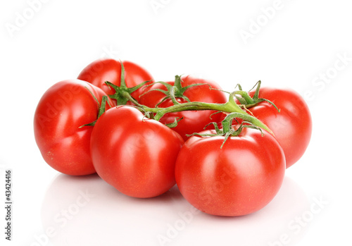 Fresh tomatoes on branch isolated on white