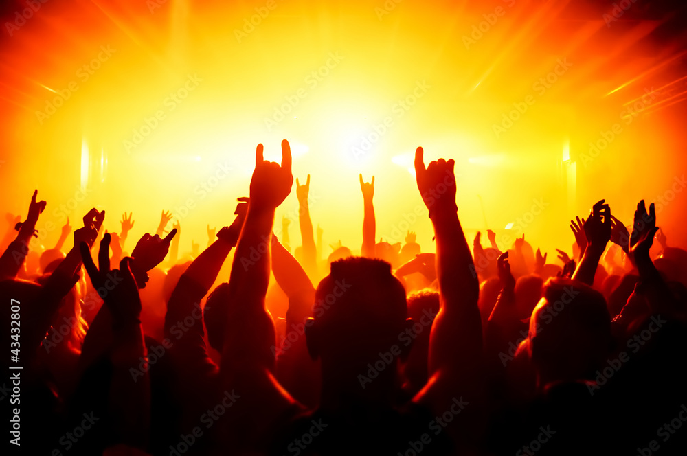 cheering crowd at concert cheering crowd at concert