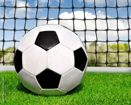 soccer ball in grass © vencav