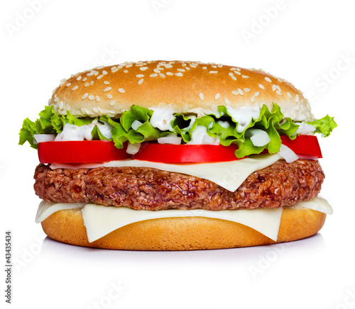 Hamburger isolated on white. All in focus.