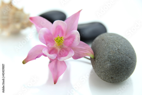 Spa stones with pink flower