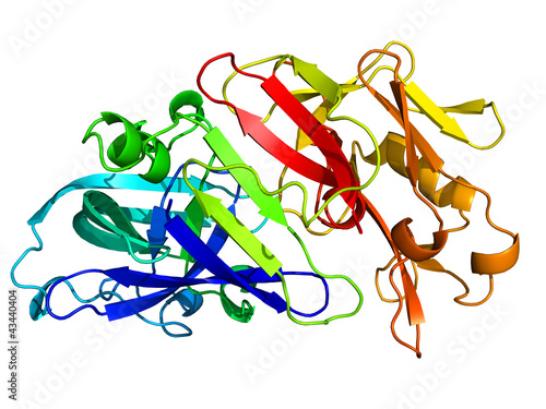 Pepsin molecule on white
