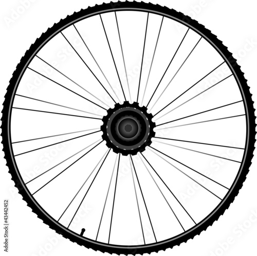 bike wheel with spokes and tire isolated on white background