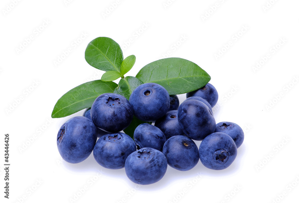 Bilberries