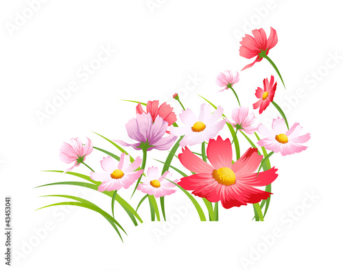 vector icon flower