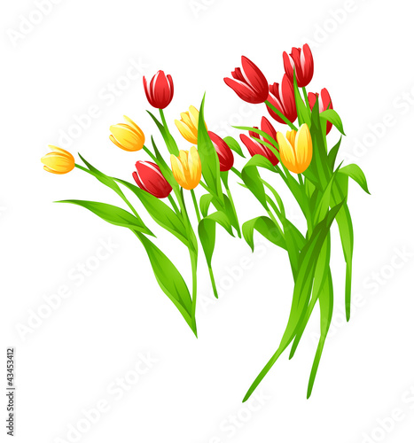 vector icon tulip