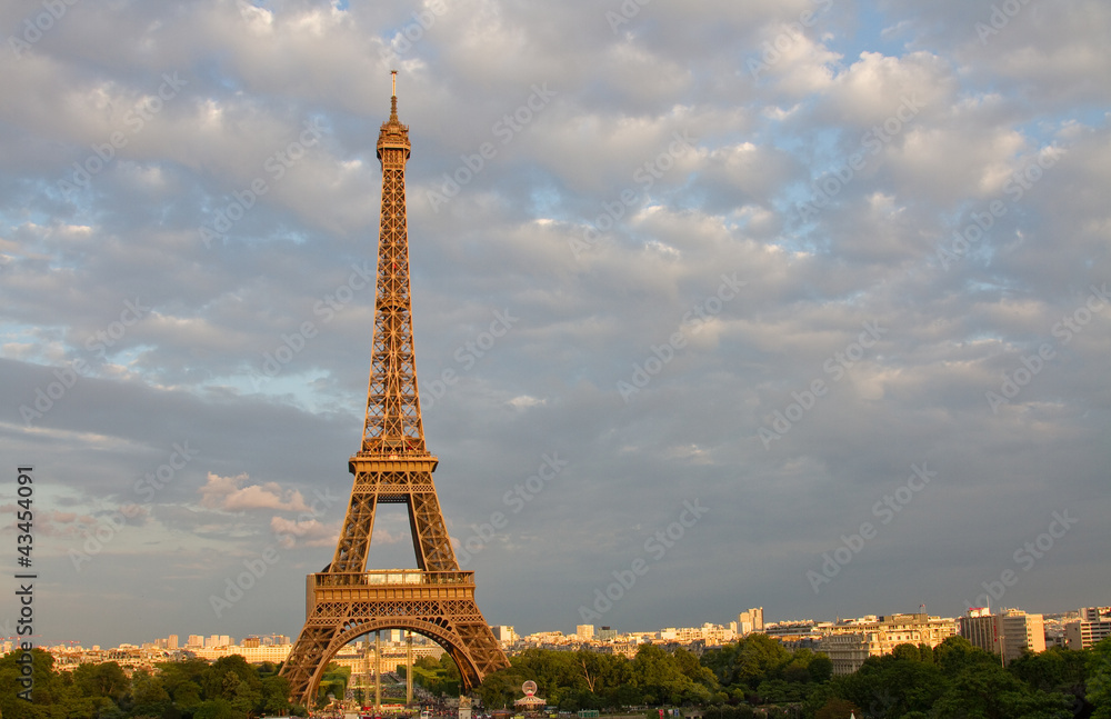 Fototapeta premium Eiffel Tower