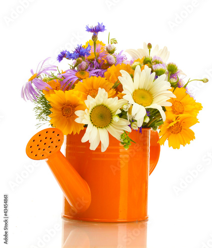 beautiful bouquet of bright wildflowers in watering can,