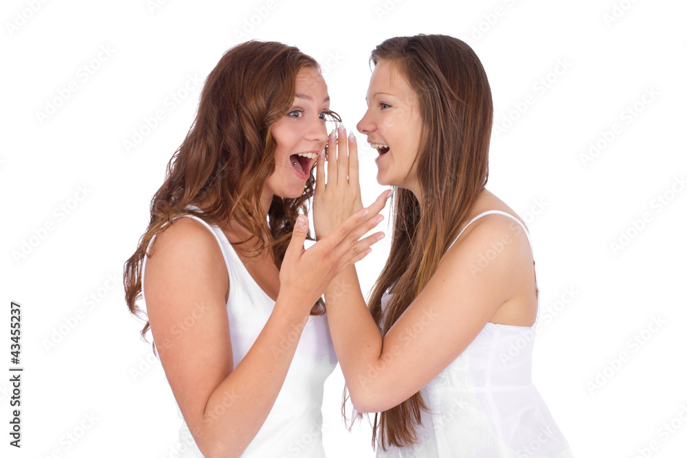 two smiling young girlfriends talking a secret over white two smiling young girlfriends talking a secret over white