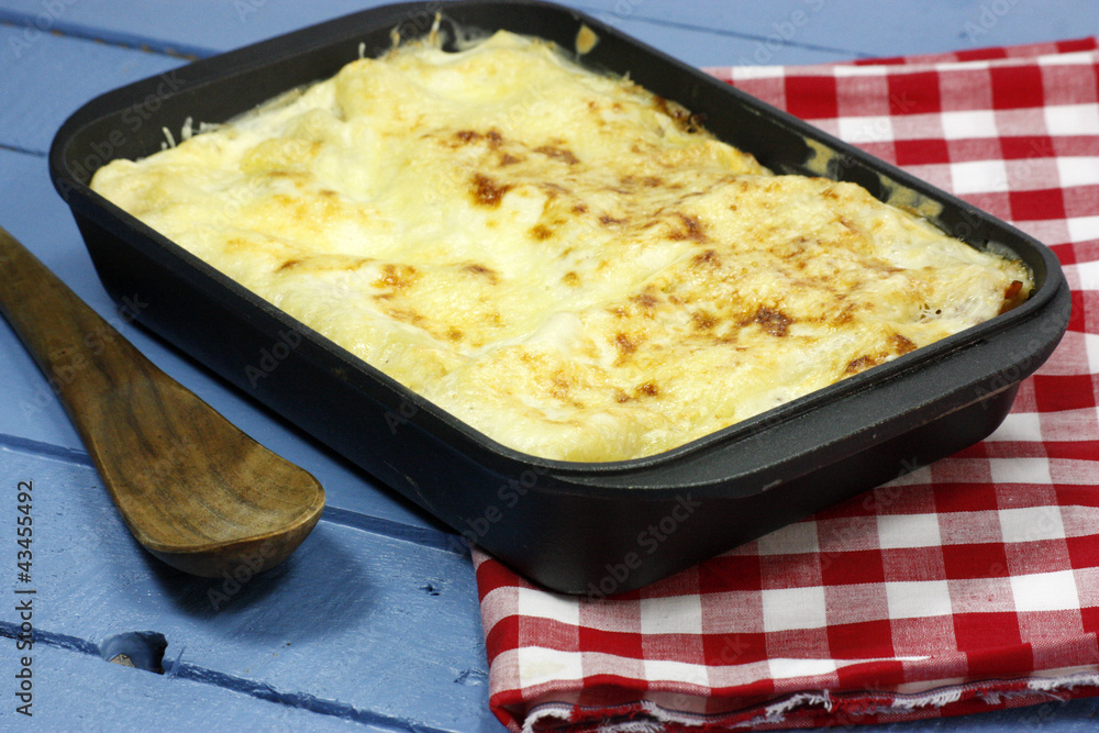 lasagnes lasagnes
