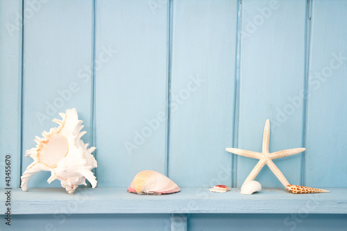 decoration with shellfish, beach style decoration