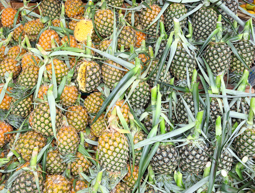 Plenty of pineapple ready for sale in Thailand market Plenty of pineapple ready for sale in Thailand market