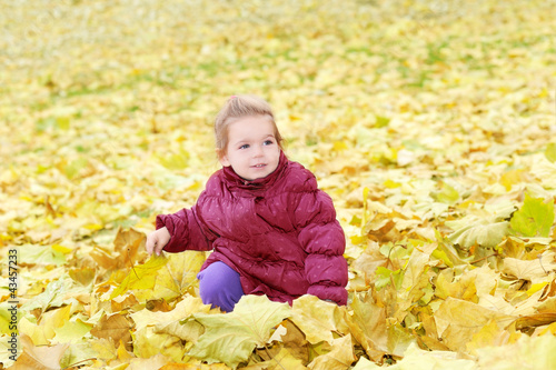 Toddler girl playing in autumn leaves