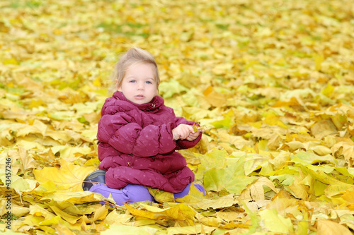 Toddler girl playing with autumn leaves