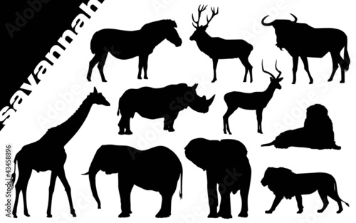 Savanna silhouette