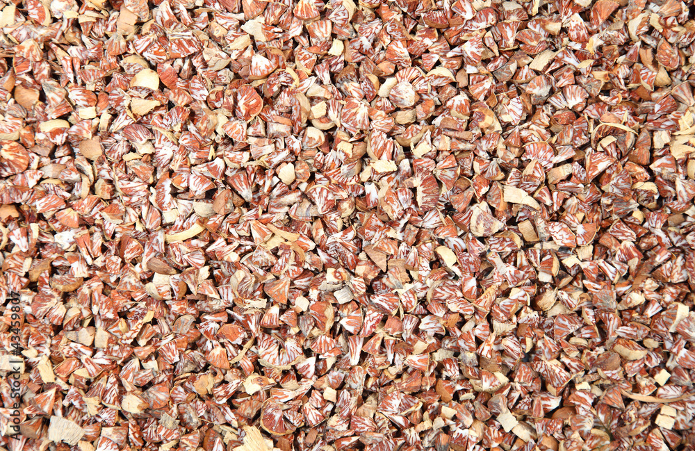 The cut Betel nut or Areca catechu The cut Betel nut or Areca catechu