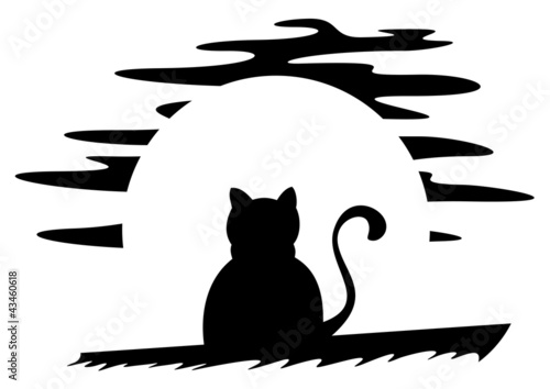 Cat on roof