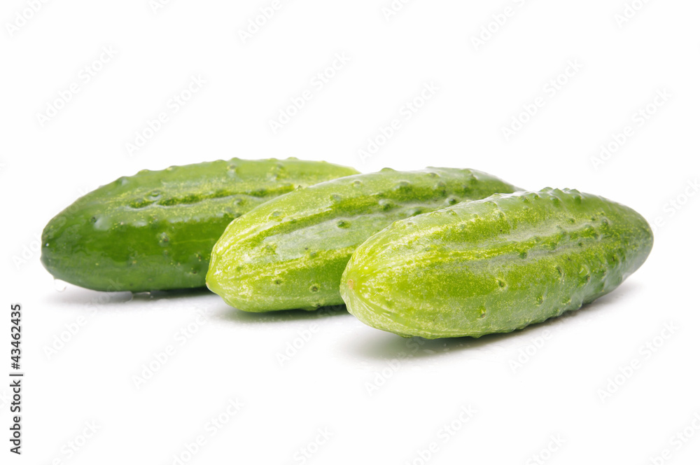 Fresh cucumbers isolated on white Fresh cucumbers isolated on white