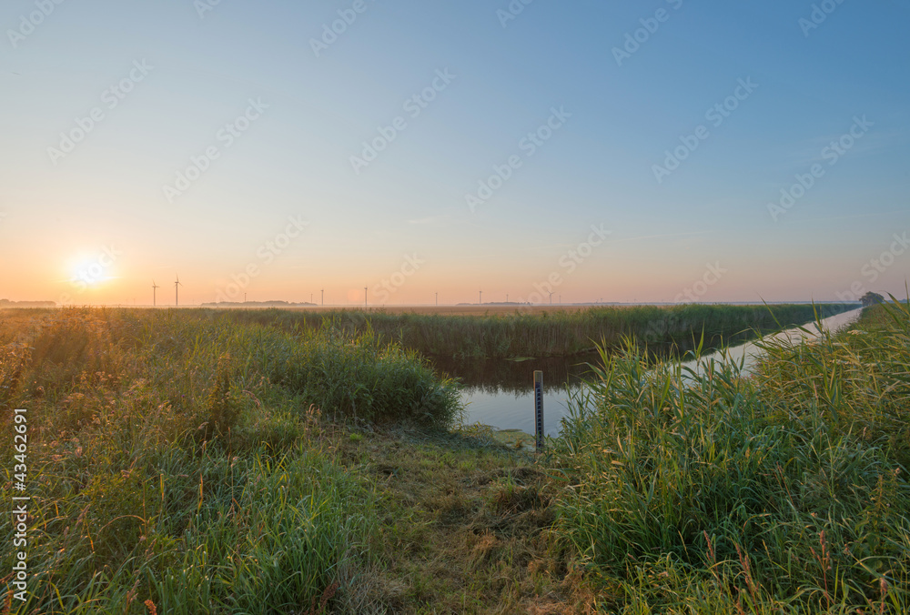Sunrise over a canal in summer