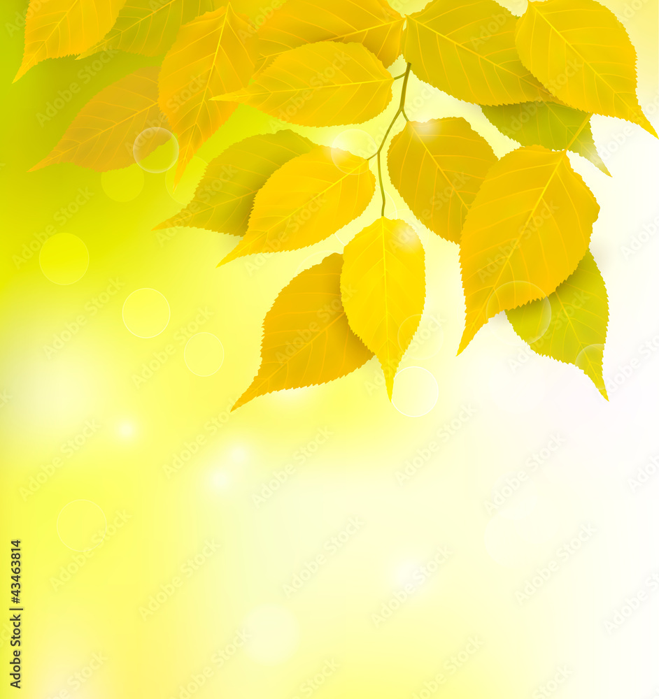 Autumn background with leaves Autumn background with leaves