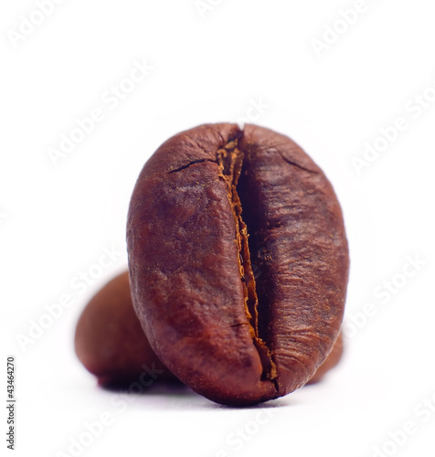 coffee bean